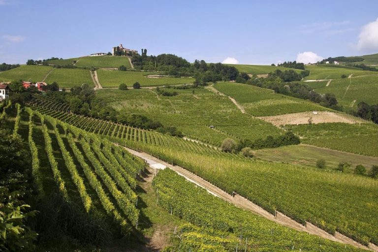 Dal mare alle Langhe