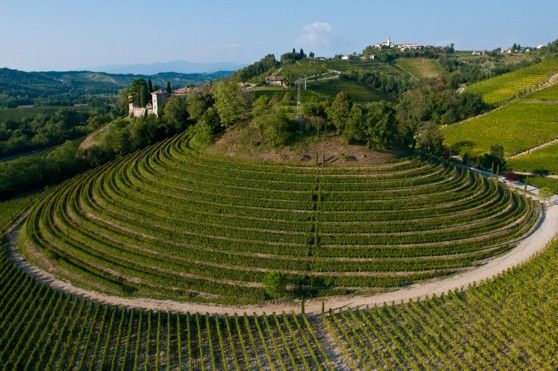 Collio, Mario Verin foto friuli.org