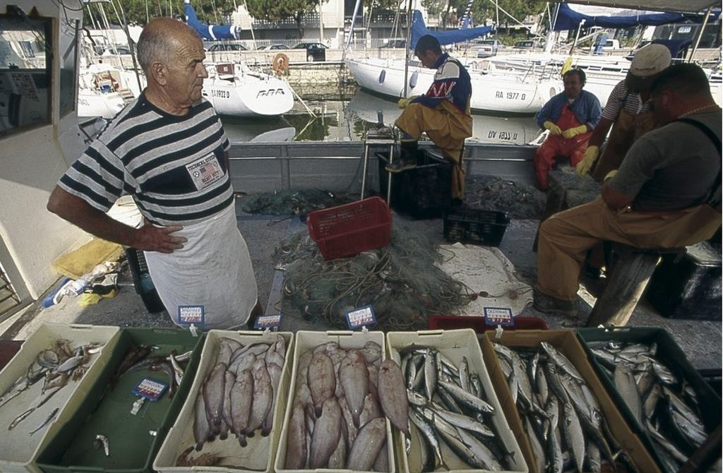 Cervia, il mercato del pesce