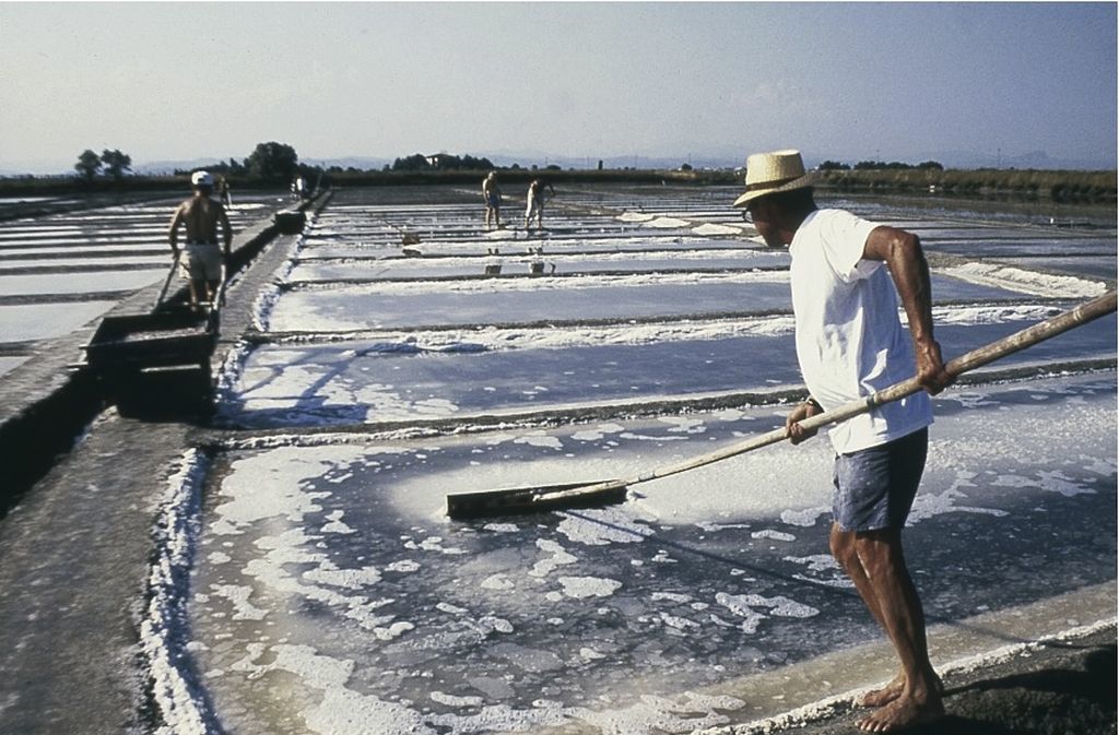 Cervia, la raccolta del sale