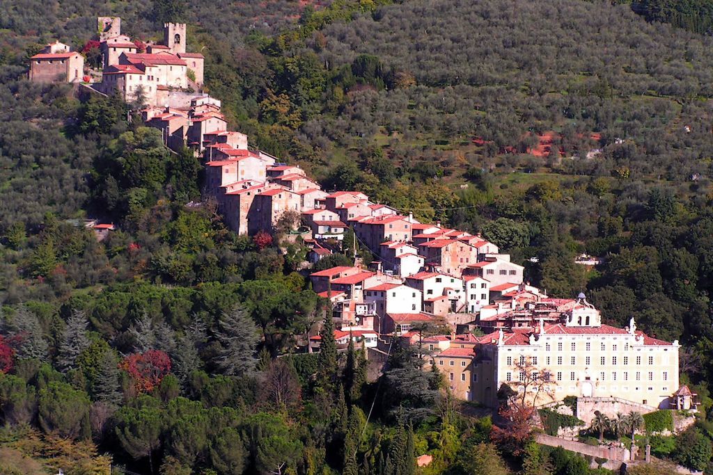 Collodi