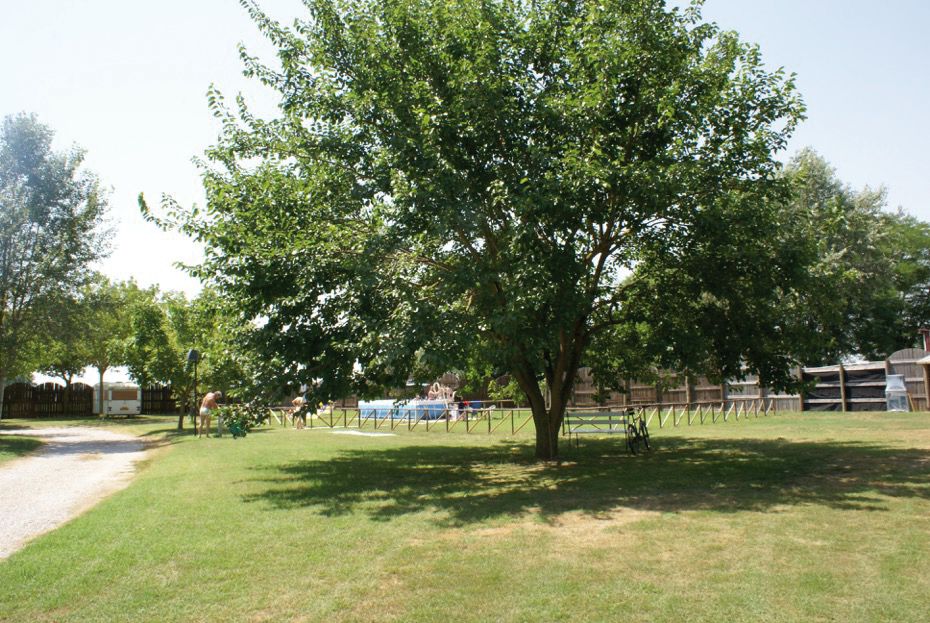 Area sosta Oasi Park Bosco Mesola (FE)