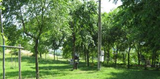 Area sosta Parco Fonte Salmagina - Staffolo (AN)