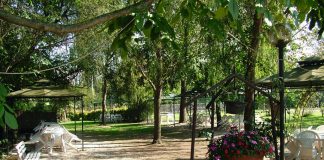 Area sosta Parking Europa
