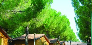 Camping Village Assisi - Assisi (PG)