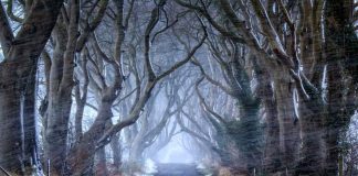 Irlanda d'inverno