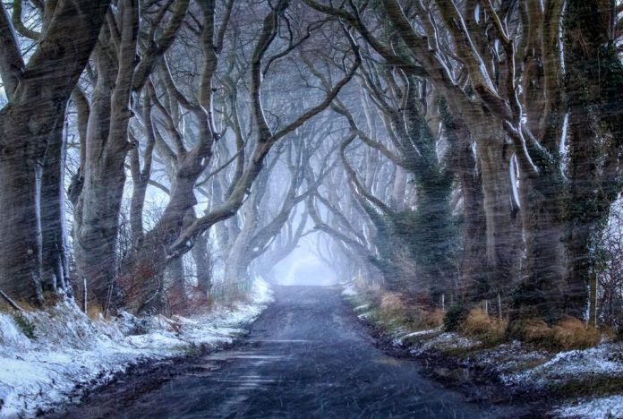 Irlanda d'inverno