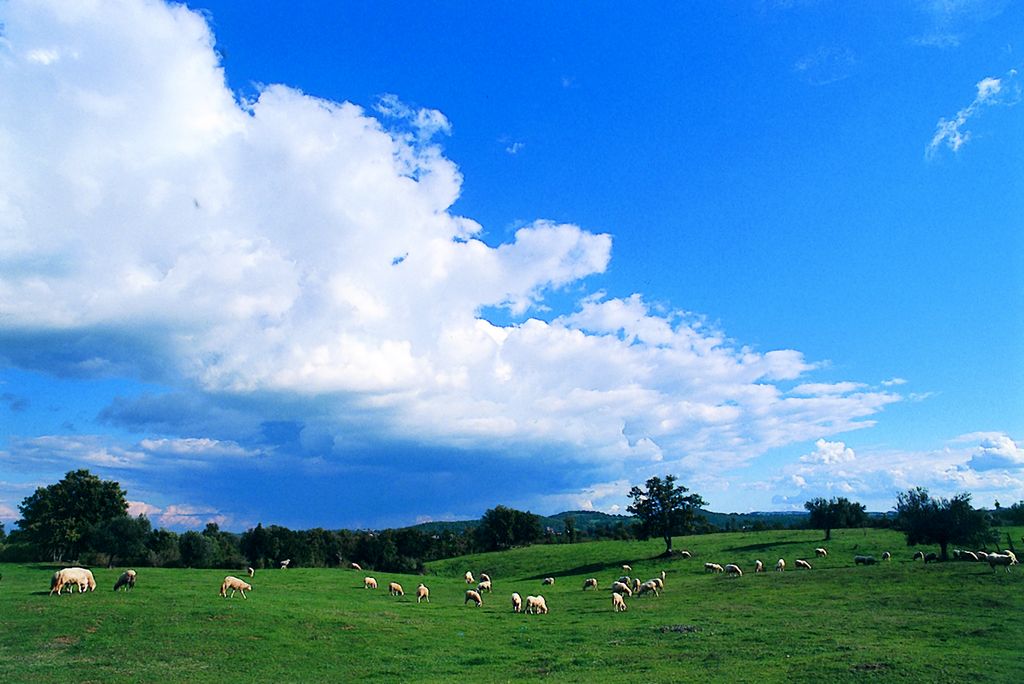 Etruria, panorama sulla natura