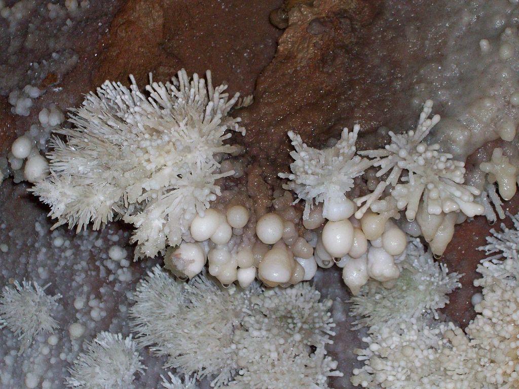 Grotte di Toirano, aragoniti