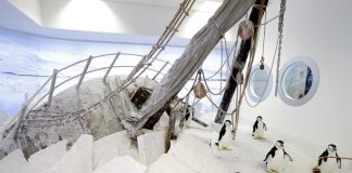 Museo Nazionale Antartide Trieste