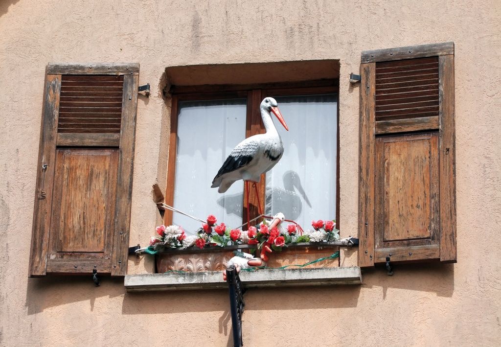La cicogna