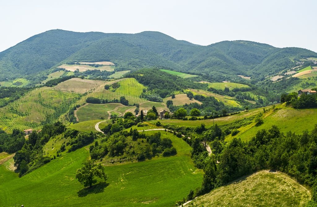 I dintori di Sassoferrato