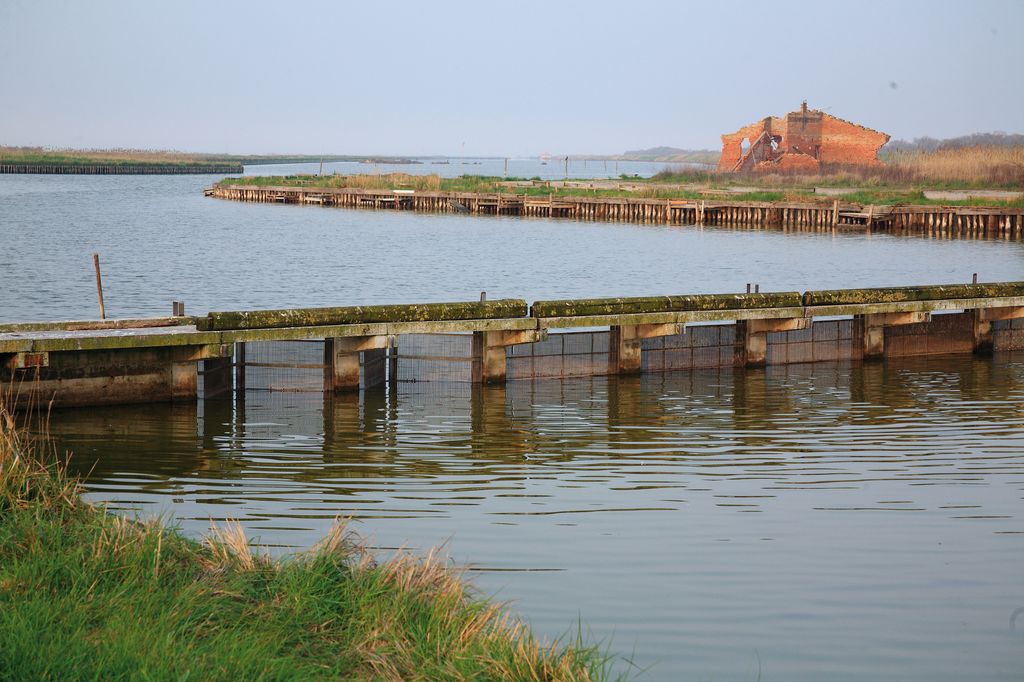 Pesca alle anguille nei canali di Comacchio