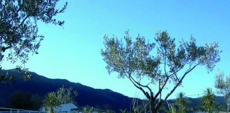 Agriturismo il Forno Antico