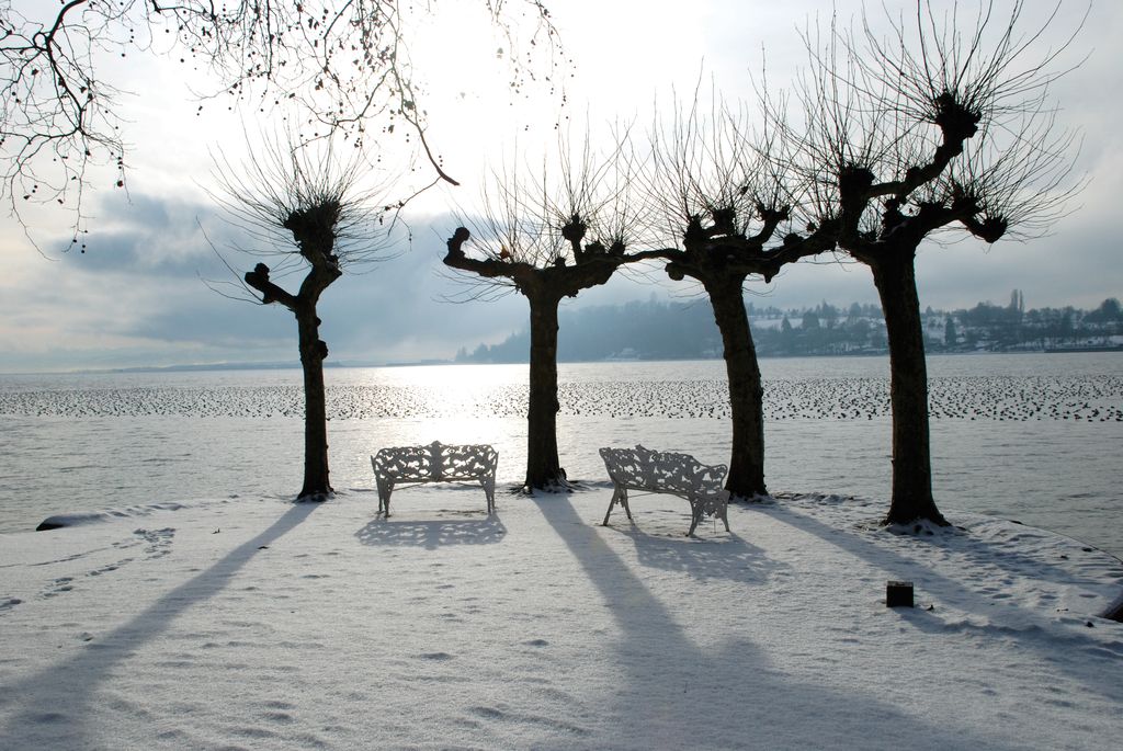 Panorama di Mainau