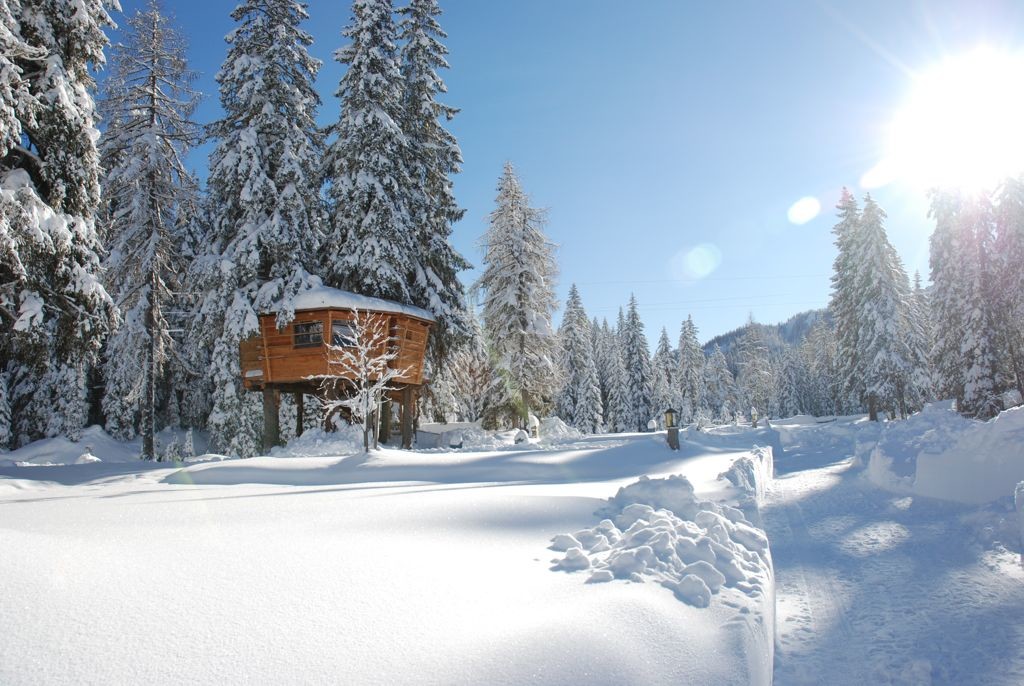 aravan Park Sesto Baumhaus