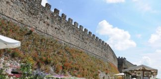 1 Lonato - Fiori nella Rocca1 Lonato - Fiori nella Rocca