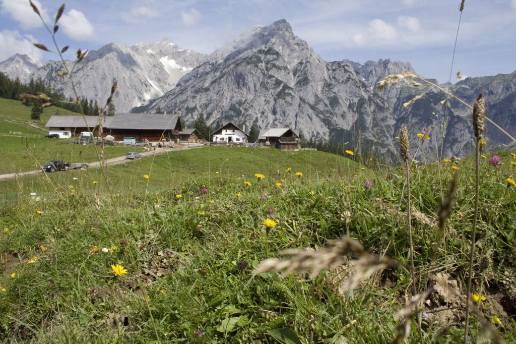 Tirolo_La malga Walder Alm sopra di Hall in Tirol nella regione Hall-Wattens