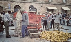 Scartozzà - Scartocciare il granturco