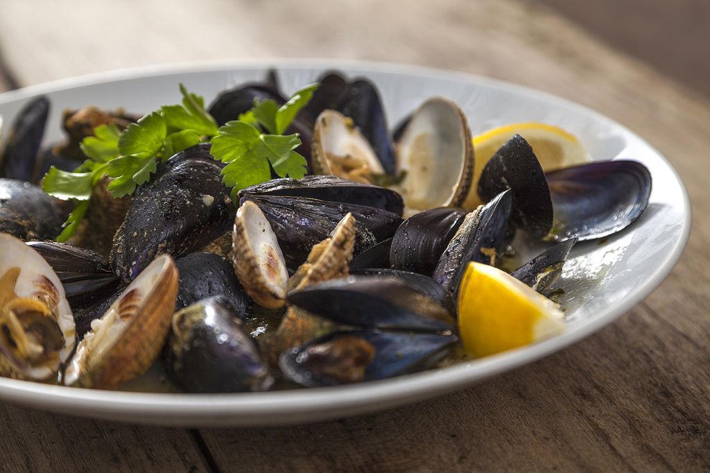 Frutti di mare 4b - Umago Cittanova verteneglio Buie