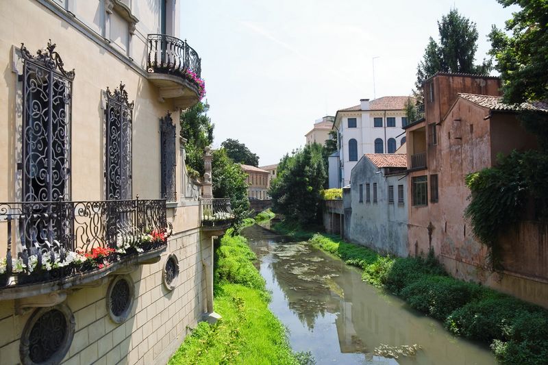 treviso