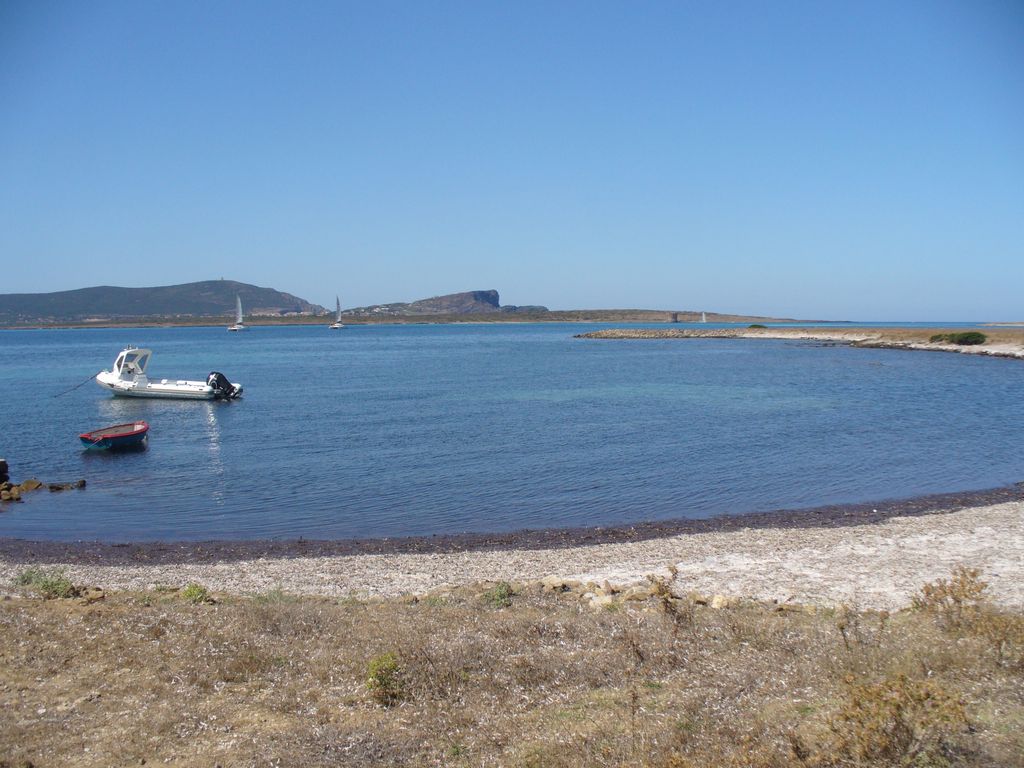 Asinara