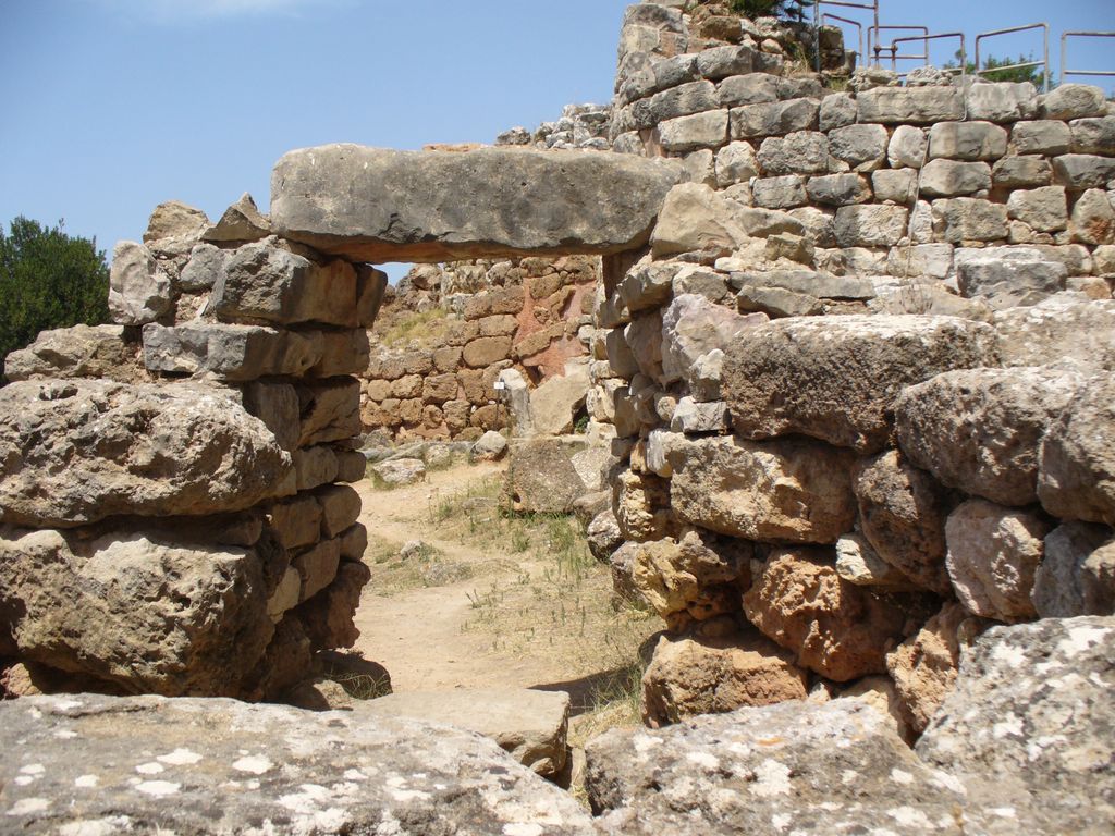 Palmavera