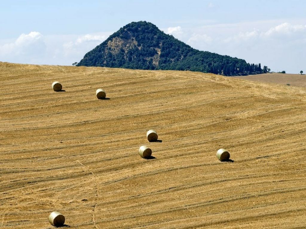 Volterra campagna