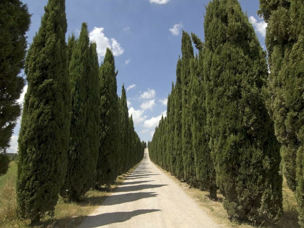 colline volterra