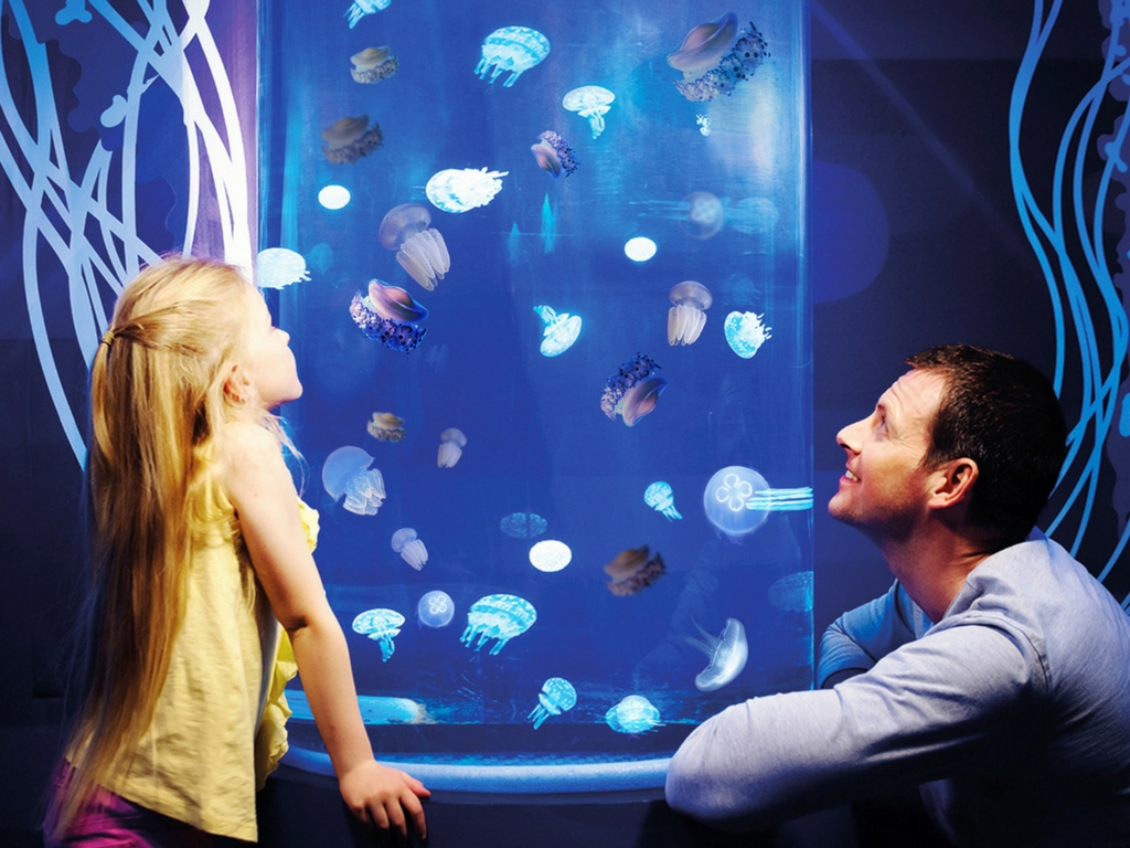 gardaland sea life