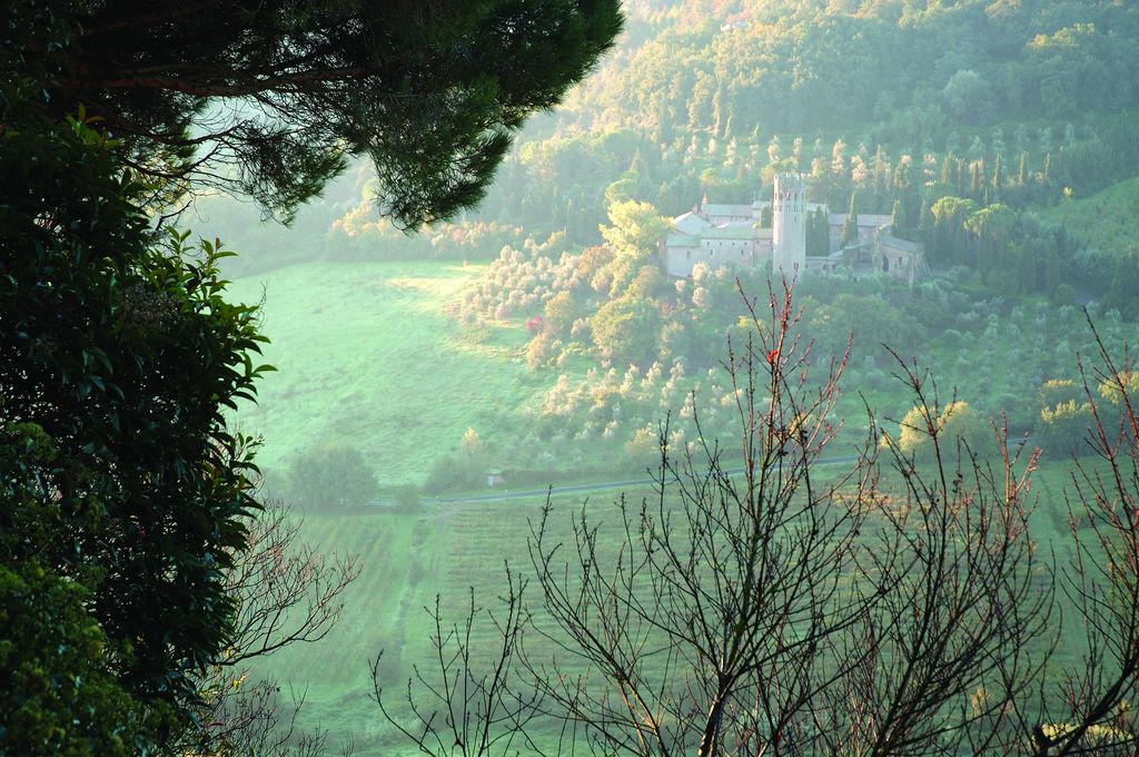 la strada dei vini