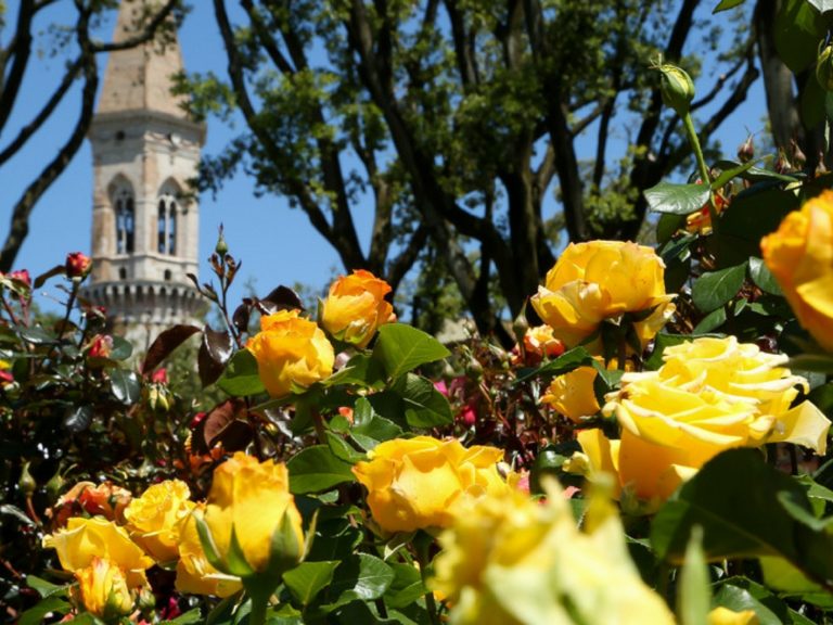 Perugia Flower Show: appuntamento dal 12 al 14 Maggio