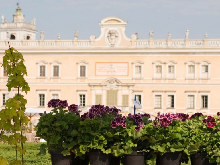Nel segno del Giglio: 24^ Mostra  mercato del giardinaggio di qualità