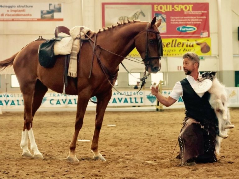 Game Fair: la festa della natura in fiera