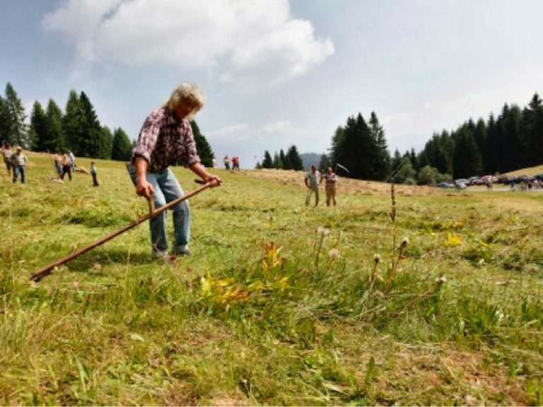 Tutti in montagna a raccogliere il fieno con “Fasjn la mede”!