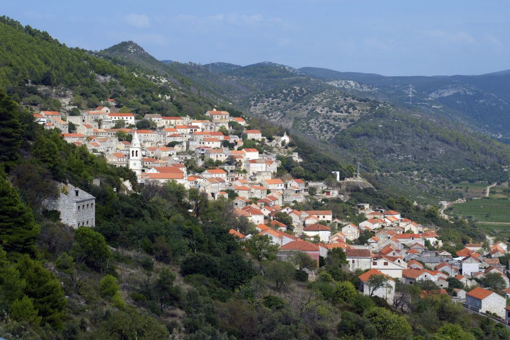 Smokvica
