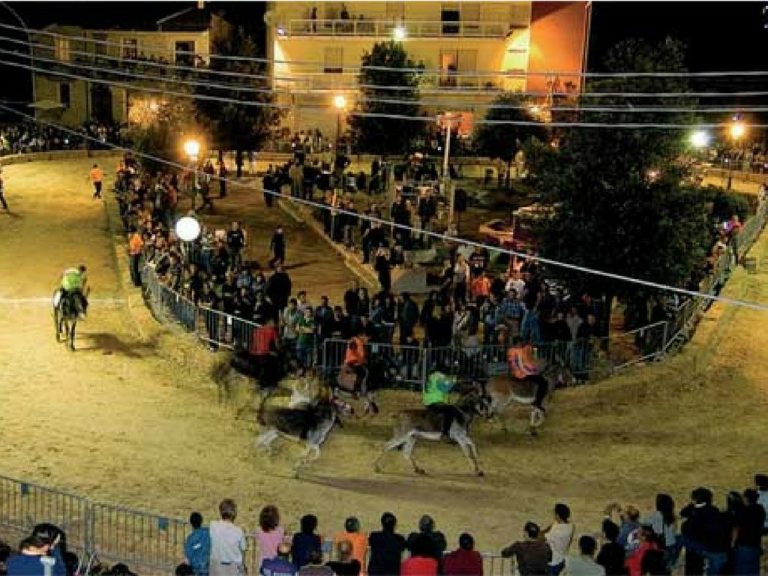 16esima edizione Palio degli Asinelli