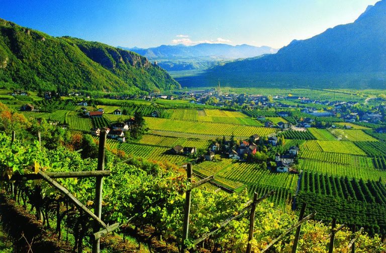 Debutta Alto Adige Wine Summit a Bolzano