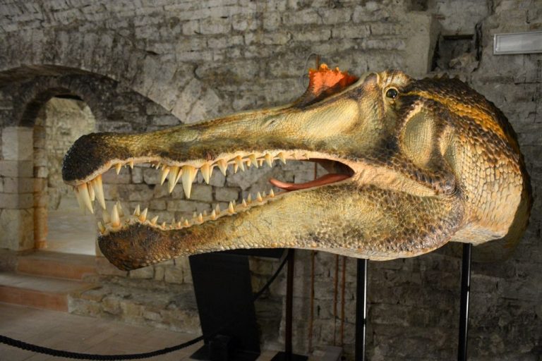 Un viaggio fantastico dal Mondo Perduto a Jurassic Park