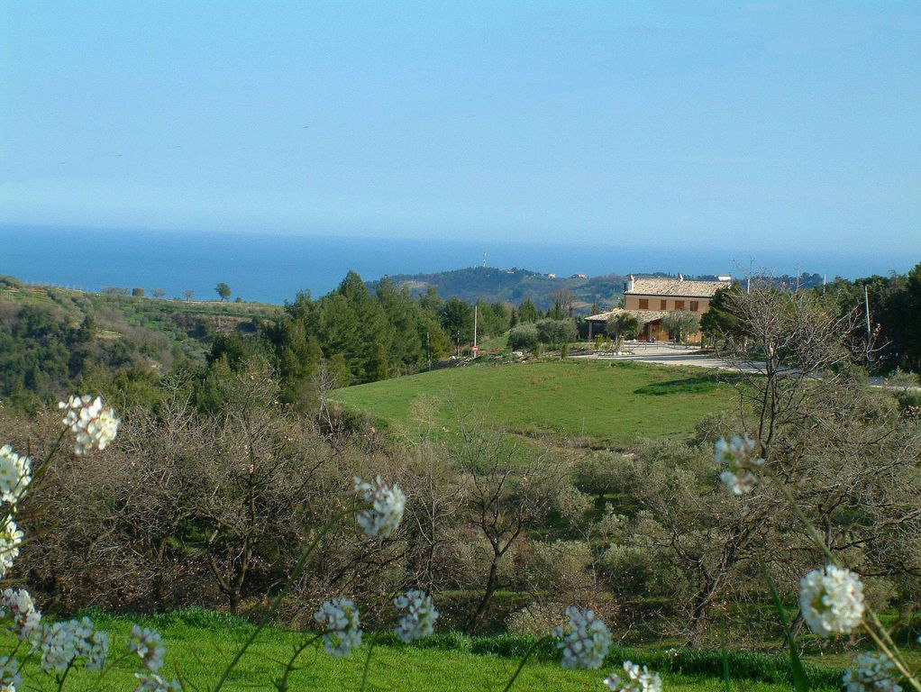 Briciole di Sole
