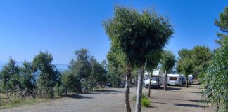 Camping Alfier