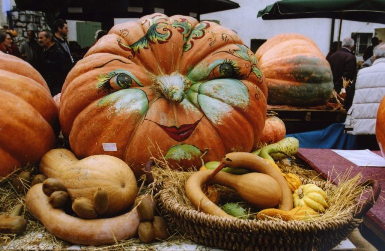 A Ottobre Festa della Zucca a Venzone