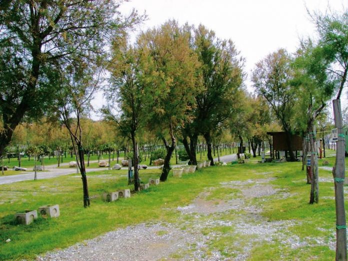 Lido Tropical Area Attrezzata