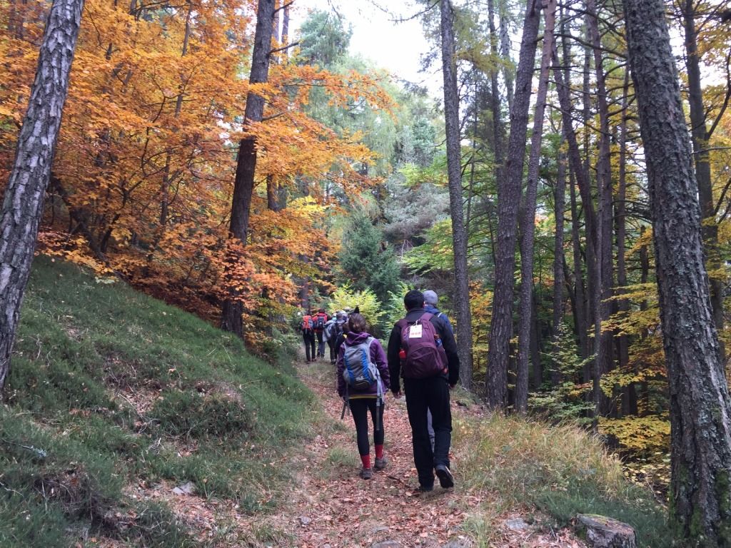 Escursioni DiVin Ottobre Strada del Vino e dei Sapori Trentino