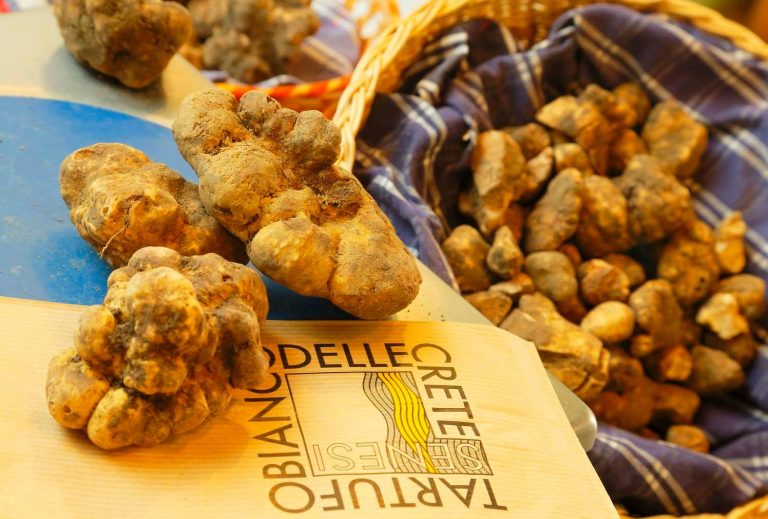 Mostra Mercato del Tartufo Bianco delle Crete Senesi