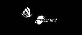 zanini logo