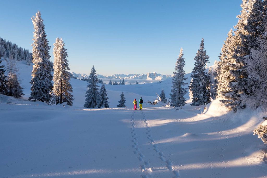 Region Villach Tourismus Michael Stabentheiner Naturpark Dobratsch