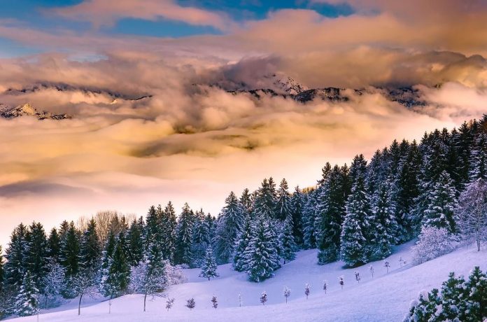 vacanze d inverno