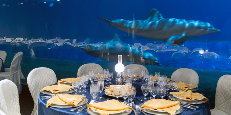 Cene tra i delfini all’Acquario di Genova