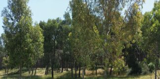 Area sosta Amici della Natura
